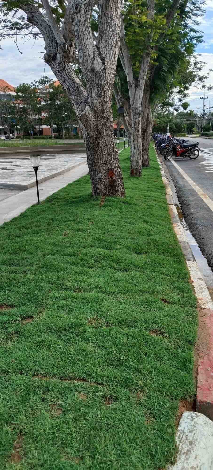 image8